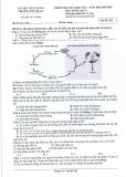 Đề thi Giữa kì 1 Sinh học 11 năm 2024-2025 trường THPT Dĩ An (Bình Dương)